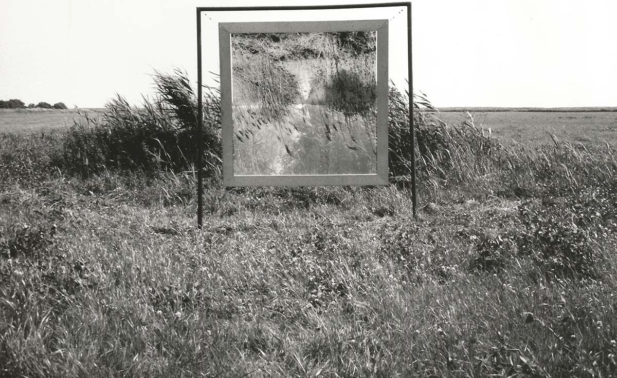 Gespiegelte Landschaft