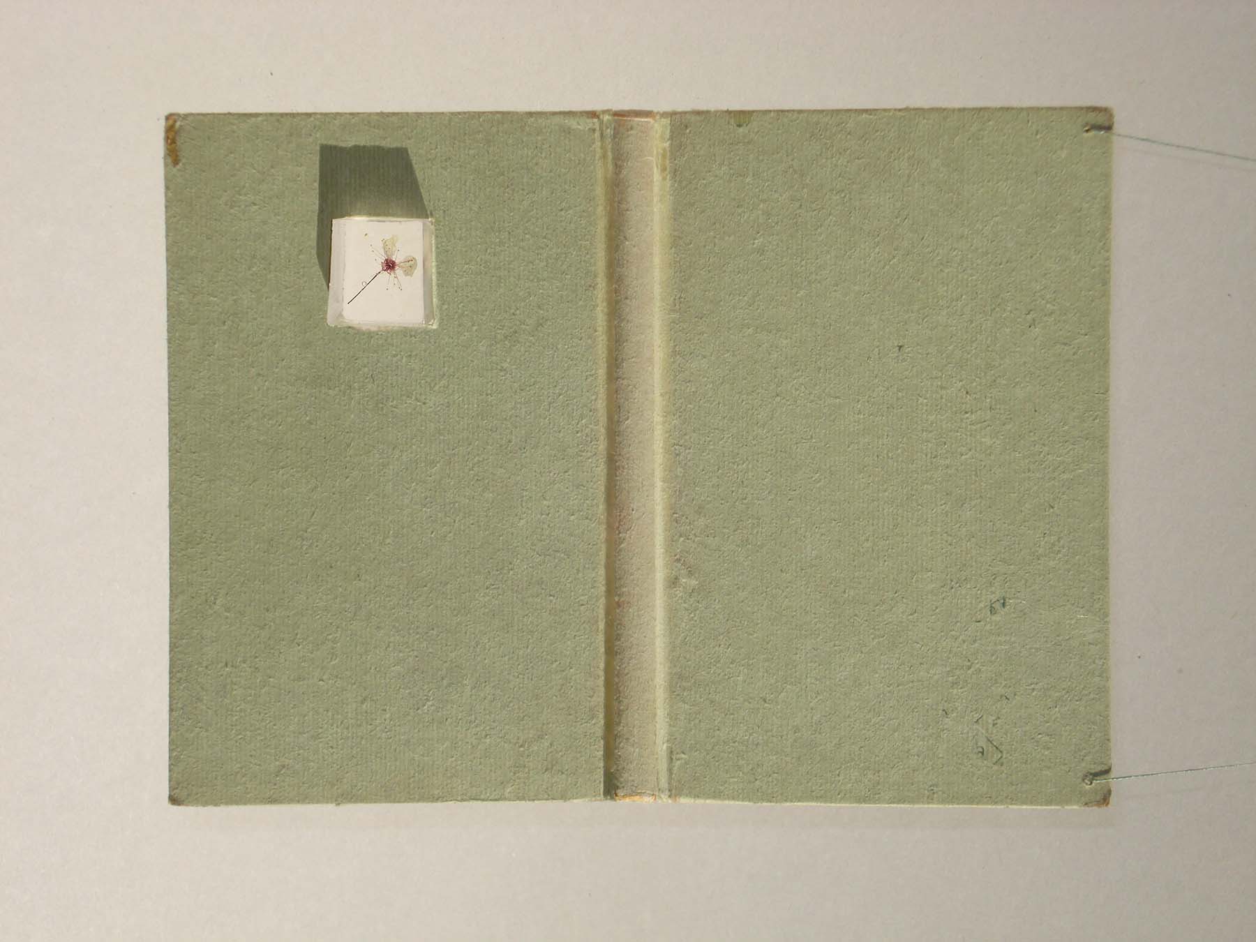 Ein Buch ist ein Garten